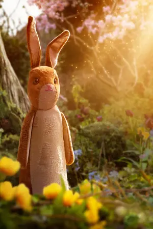 Постер к фильму "Плюшевый кролик" #317643