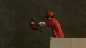 Задник к фильму "Лающие собаки никогда не кусают" #423110