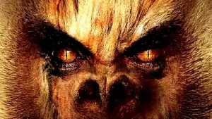 Задник к фильму "" #471053