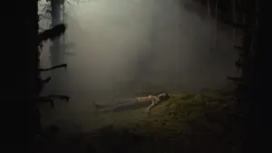 Задник к фильму "" #196215