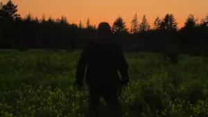 Задник к фильму "" #622172