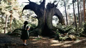 Задник к фильму "Лабиринт Фавна" #597355