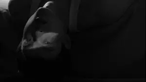 Задник к фильму "Тетро" #724013