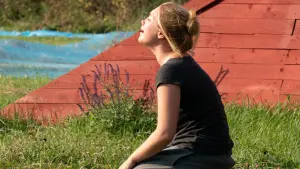 Задник к фильму "Солнцестояние" #235181