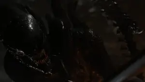 Задник к фильму "Чужой: Ромул" #546049