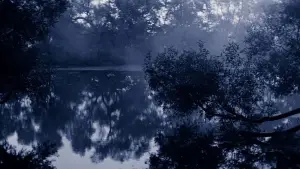 Задник к фильму "Солярис" #731595