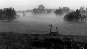 Задник к фильму "Зловещие мертвецы" #225466