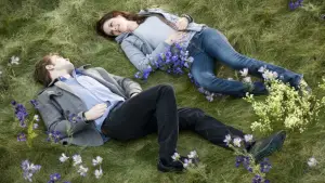 Задник к фильму "Сумерки. Сага: Новолуние" #519834