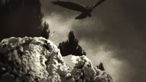 Задник к фильму "" #476417