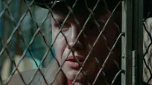 Задник к фильму "Полуночный ковбой" #210169