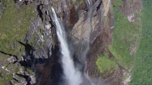 Задник к фильму "Земля" #384806