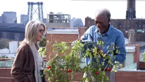 Задник к фильму "Сама жизнь" #388064