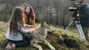 Задник к фильму "Мой волк" #237533