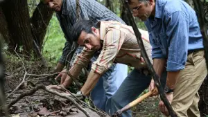 Задник к фильму "Из-под земли" #656604