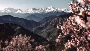 Задник к фильму "जुगनूमा" #783270