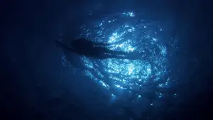 Задник к фильму "Челюсти" #521055