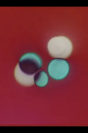 Постер к фильму "Ritual"