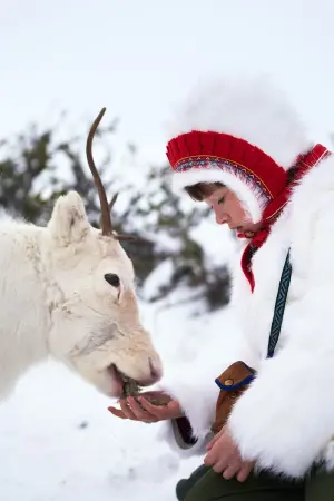 Постер к фильму "" #458243