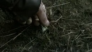 Задник к фильму "Властелин колец: Две крепости" #516383