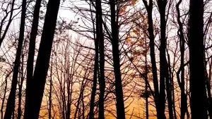 Задник к фильму "" #449025