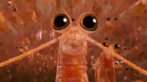 Задник к фильму "Делай ноги 2" #725482