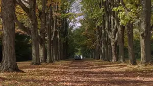 Задник к фильму "Оно" #592663