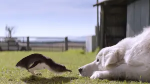 Задник к фильму "Чудак" #491714