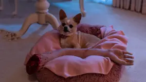 Задник к фильму "Субстанция. Идеал" #615103