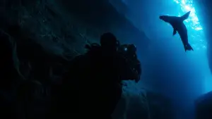 Задник к фильму "" #720070