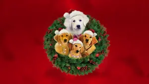 Задник к фильму "Рождественская пятерка" #346740