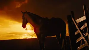 Задник к фильму "Боевой конь" #719025