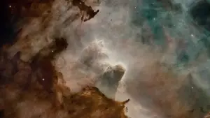 Задник к фильму "Древо жизни" #723972