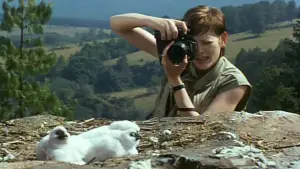 Задник к фильму "Свободное падение" #731277