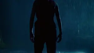 Задник к фильму "Пассажирка" #506525