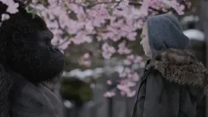 Задник к фильму "Планета обезьян: Война" #235042