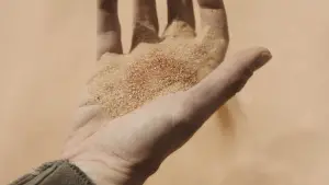 Задник к фильму "Дюна" #529522