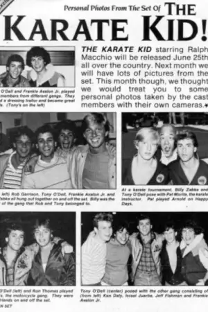 Постер к фильму "Парень-каратист" #649203