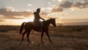 Задник к фильму "" #485608