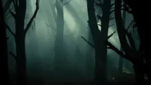 Задник к фильму "Зловещие мертвецы: Черная книга" #642947