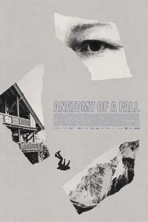 Постер к фильму "Анатомия падения" #368235