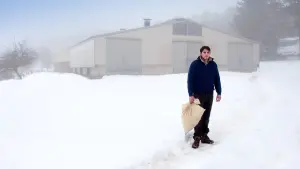 Задник к фильму "Магия зверя" #392063