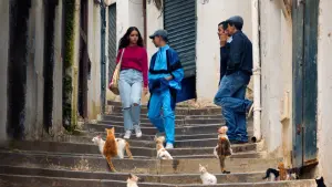 Задник к фильму "Лапочка" #491273