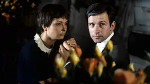 Задник к фильму "Знахарь" #452177