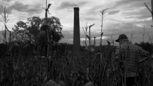 Задник к фильму "" #440762