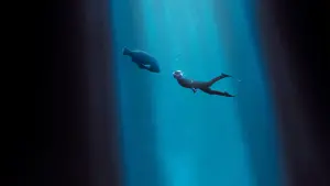 Задник к фильму "Друг в океане" #401986