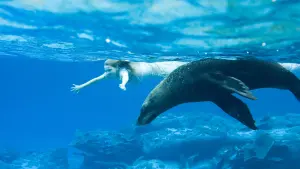 Задник к фильму "Остров Ним" #466223