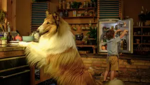 Задник к фильму "Лесси. Лохматый детектив" #479505