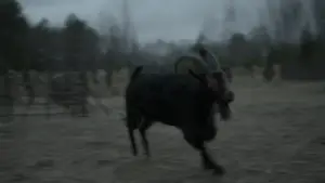 Задник к фильму "Ведьма" #600289