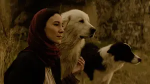 Задник к фильму "" #538548