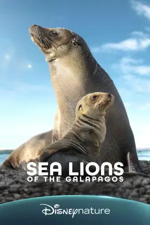 Постер к фильму "Sea Lions of the Galapagos" #719381